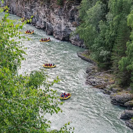 Bakketun Casa de Férias Heidal