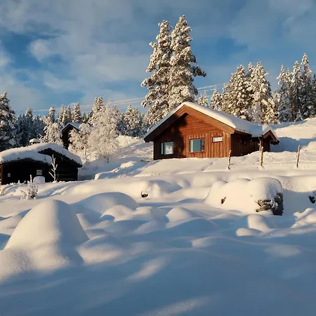 Bakketun Casa de Férias Heidal