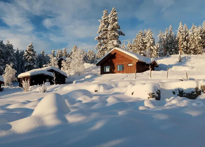 Bakketun Feriehus Heidal